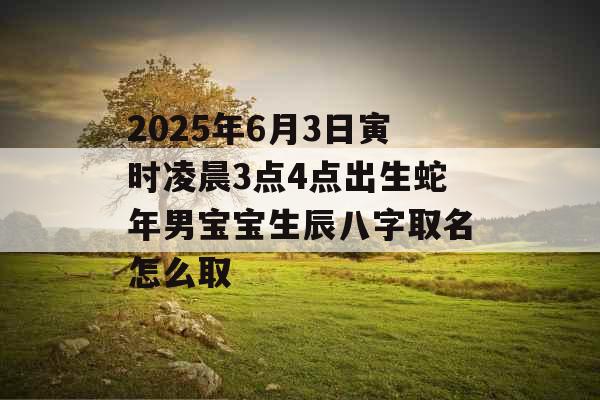 2025年6月3日寅时凌晨3点4点出生蛇年男宝宝生辰八字取名怎么取 2025年6月3日寅时凌晨3点4点出生蛇年男宝宝生辰八字取名怎么取