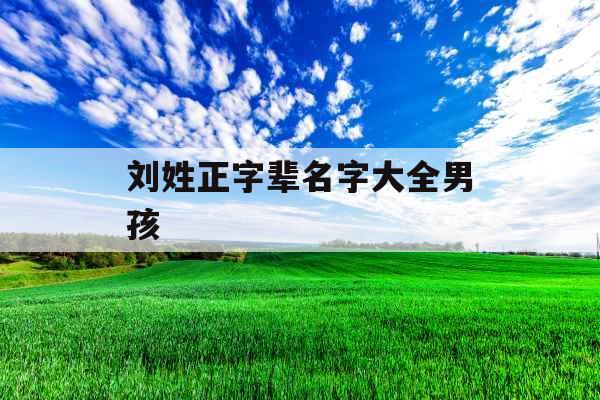 刘姓正字辈名字大全男孩