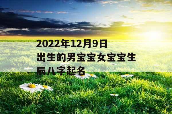 2022年12月9日出生的男宝宝女宝宝生辰八字起名