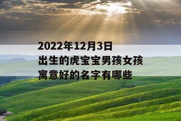 2022年12月3日出生的虎宝宝男孩女孩寓意好的名字有哪些