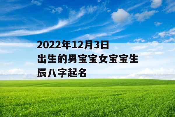 2022年12月3日出生的男宝宝女宝宝生辰八字起名