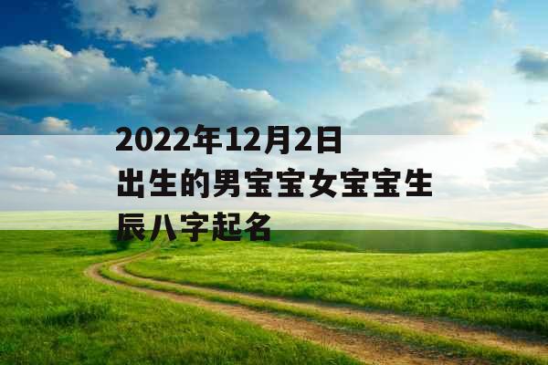 2022年12月2日出生的男宝宝女宝宝生辰八字起名