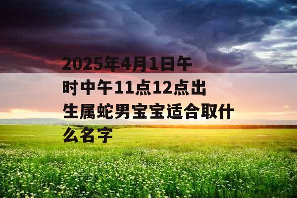 2025年4月1日午时中午11点12点出生属蛇男宝宝适合取什么名字