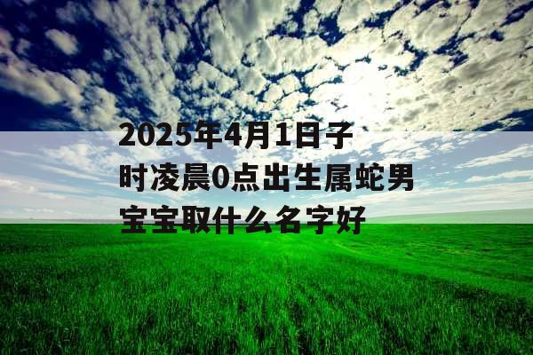 2025年4月1日子时凌晨0点出生属蛇男宝宝取什么名字好