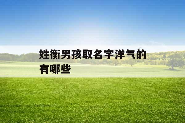 姓衡男孩取名字洋气的有哪些