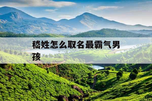 嵇姓怎么取名最霸气男孩