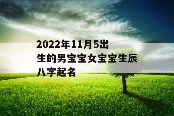 2022年11月5出生的男宝宝女宝宝生辰八字起名