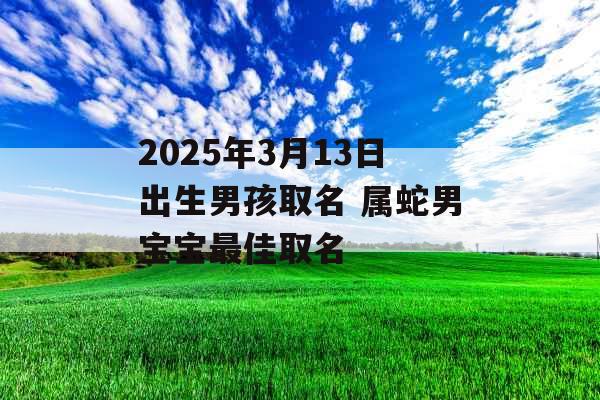 2025年3月13日出生男孩取名 属蛇男宝宝最佳取名 2025年3月13日出生男孩取名 属蛇男宝宝最佳取名