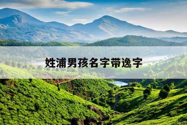 姓浦男孩名字带逸字