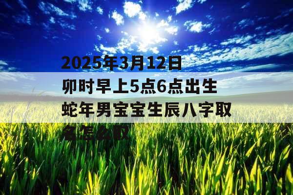 2025年3月12日卯时早上5点6点出生蛇年男宝宝生辰八字取名怎么取 2025年3月12日卯时早上5点6点出生蛇年男宝宝生辰八字取名怎么取