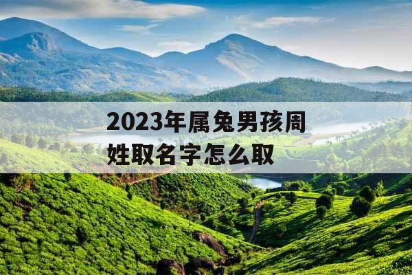 2023年属兔男孩周姓取名字怎么取