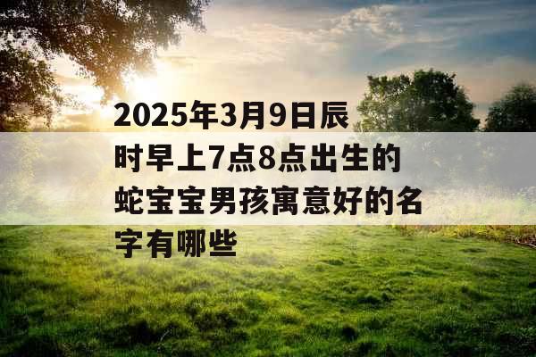 2025年3月9日辰时早上7点8点出生的蛇宝宝男孩寓意好的名字有哪些 2025年3月9日辰时早上7点8点出生的蛇宝宝男孩寓意好的名字有哪些
