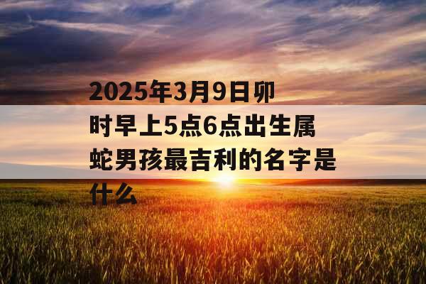 2025年3月9日卯时早上5点6点出生属蛇男孩最吉利的名字是什么