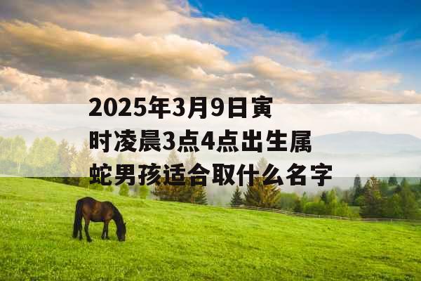 2025年3月9日寅时凌晨3点4点出生属蛇男孩适合取什么名字 2025年3月9日寅时凌晨3点4点出生属蛇男孩适合取什么名字