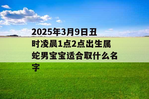 2025年3月9日丑时凌晨1点2点出生属蛇男宝宝适合取什么名字 2025年3月9日丑时凌晨1点2点出生属蛇男宝宝适合取什么名字
