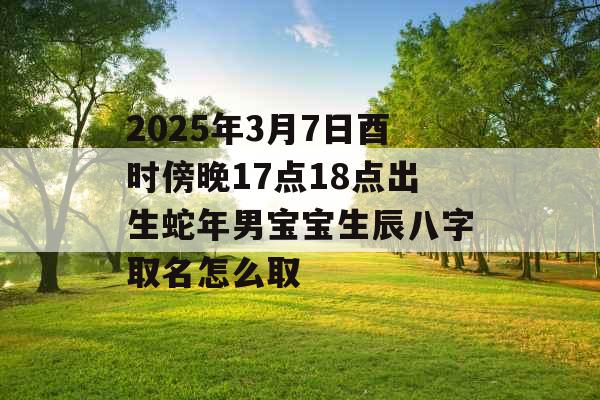 2025年3月7日酉时傍晚17点18点出生蛇年男宝宝生辰八字取名怎么取 2025年3月7日酉时傍晚17点18点出生蛇年男宝宝生辰八字取名怎么取