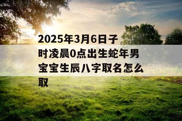 2025年3月6日子时凌晨0点出生蛇年男宝宝生辰八字取名怎么取