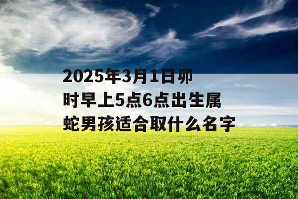 2025年3月1日卯时早上5点6点出生属蛇男孩适合取什么名字