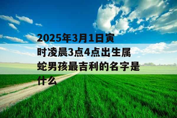 2025年3月1日寅时凌晨3点4点出生属蛇男孩最吉利的名字是什么
