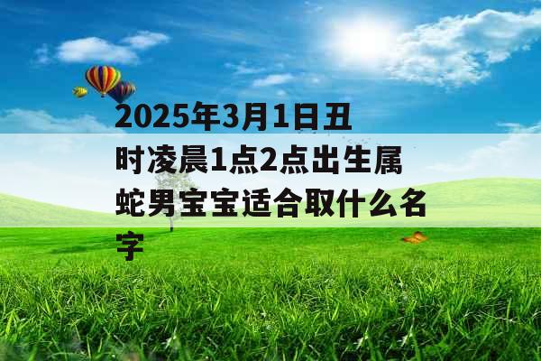 2025年3月1日丑时凌晨1点2点出生属蛇男宝宝适合取什么名字