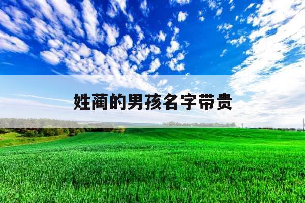 姓蔺的男孩名字带贵 姓蔺的男孩名字带贵