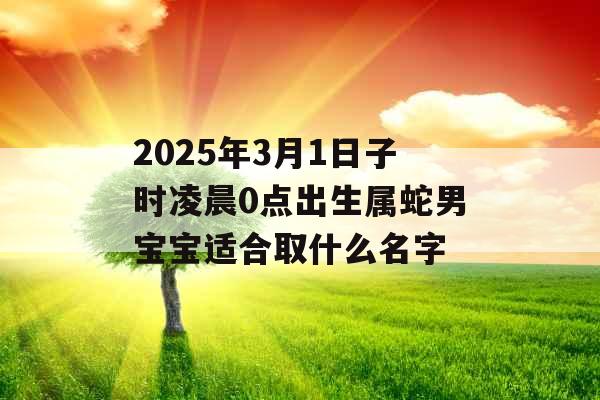 2025年3月1日子时凌晨0点出生属蛇男宝宝适合取什么名字