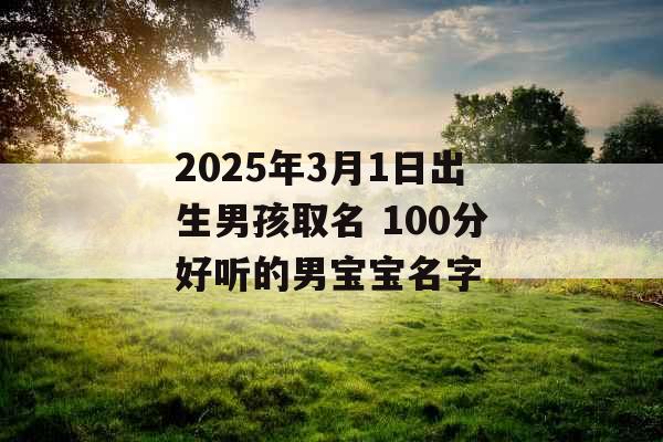 2025年3月1日出生男孩取名 100分好听的男宝宝名字