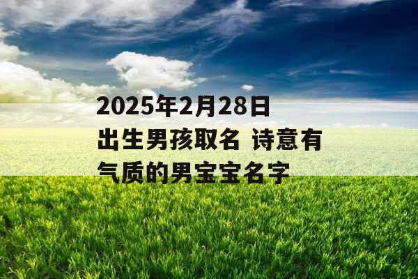 2025年2月28日出生男孩取名 诗意有气质的男宝宝名字 2025年2月28日出生男孩取名 诗意有气质的男宝宝名字