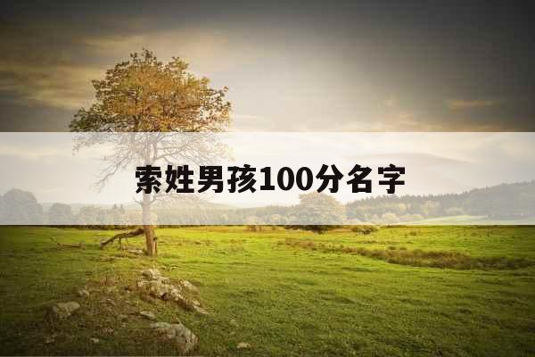 索姓男孩100分名字