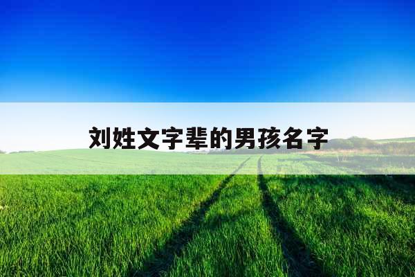 刘姓文字辈的男孩名字