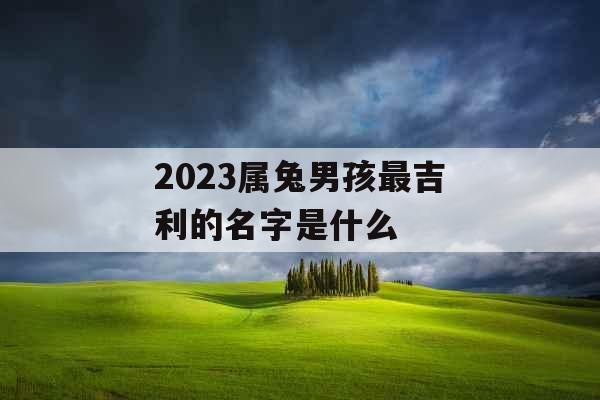 2023属兔男孩最吉利的名字是什么