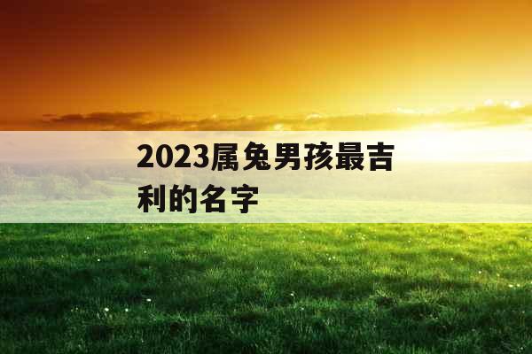 2023属兔男孩最吉利的名字