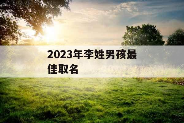 2023年李姓男孩最佳取名