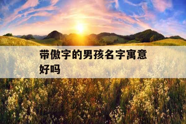 带傲字的男孩名字寓意好吗