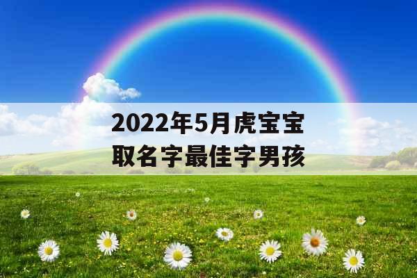 2022年5月虎宝宝取名字最佳字男孩