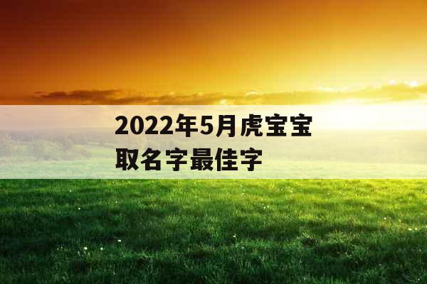 2022年5月虎宝宝取名字最佳字