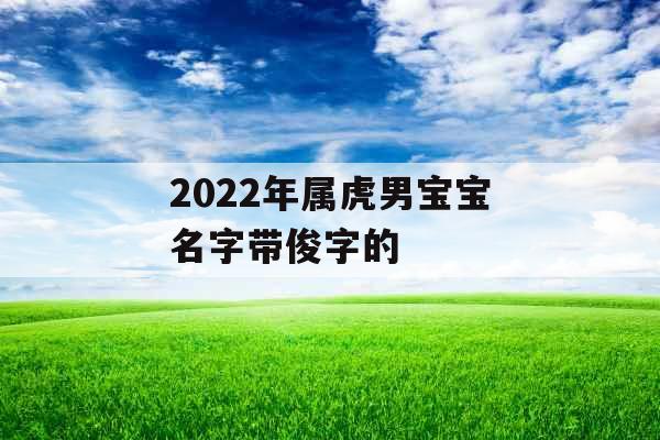 2022年属虎男宝宝名字带俊字的