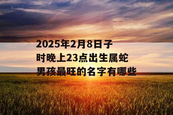 2025年2月8日子时晚上23点出生属蛇男孩最旺的名字有哪些 2025年2月8日子时晚上23点出生属蛇男孩最旺的名字有哪些