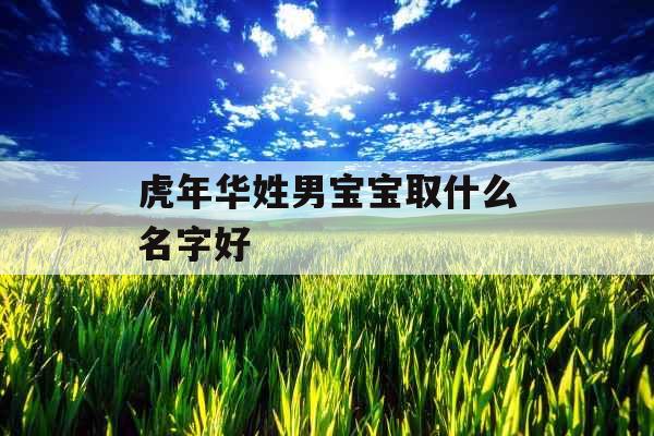 虎年华姓男宝宝取什么名字好 虎年华姓男宝宝取什么名字好