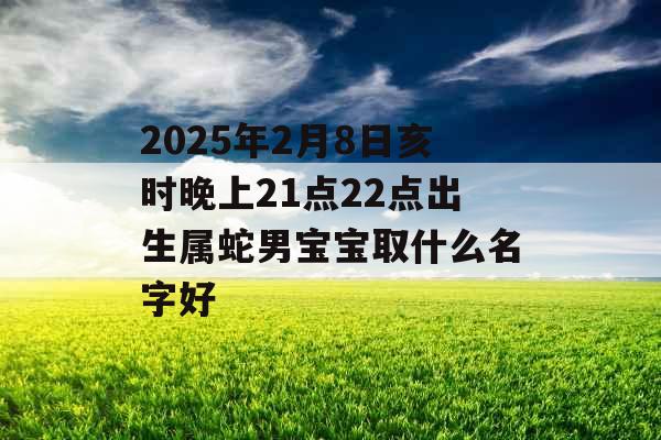 2025年2月8日亥时晚上21点22点出生属蛇男宝宝取什么名字好 2025年2月8日亥时晚上21点22点出生属蛇男宝宝取什么名字好