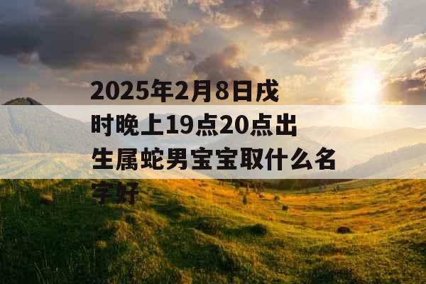 2025年2月8日戌时晚上19点20点出生属蛇男宝宝取什么名字好 2025年2月8日戌时晚上19点20点出生属蛇男宝宝取什么名字好