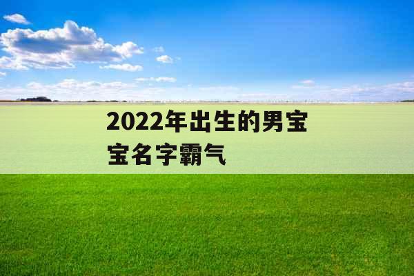 2022年出生的男宝宝名字霸气