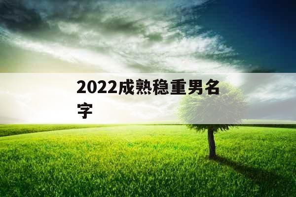 2022成熟稳重男名字