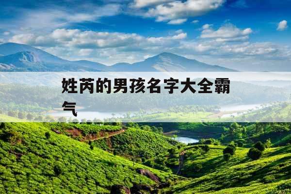 姓芮的男孩名字大全霸气