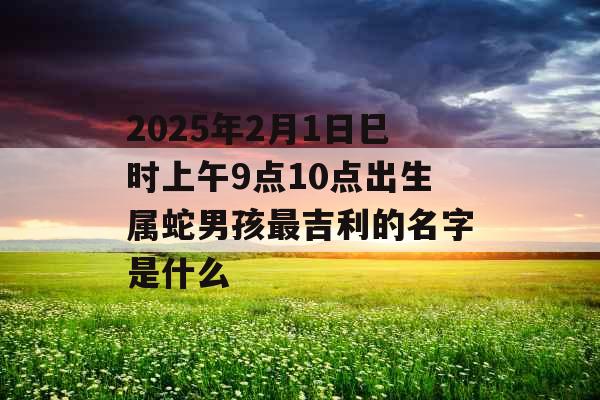 2025年2月1日巳时上午9点10点出生属蛇男孩最吉利的名字是什么