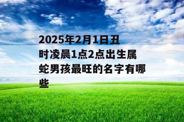 2025年2月1日丑时凌晨1点2点出生属蛇男孩最旺的名字有哪些