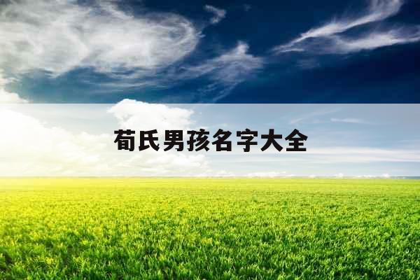 荀氏男孩名字大全