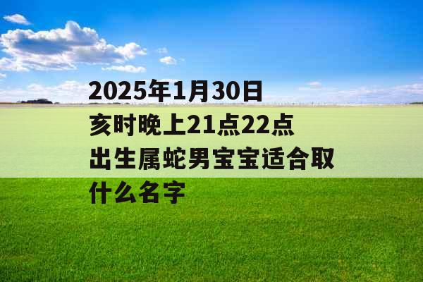 2025年1月30日亥时晚上21点22点出生属蛇男宝宝适合取什么名字