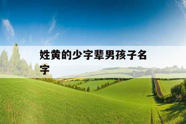 姓黄的少字辈男孩子名字 姓黄的少字辈男孩子名字