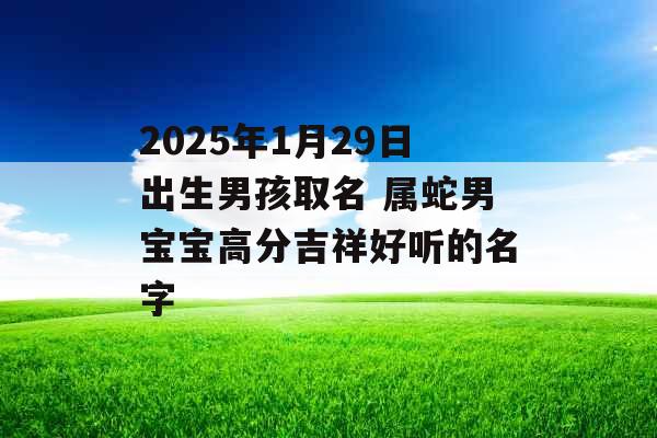 2025年1月29日出生男孩取名 属蛇男宝宝高分吉祥好听的名字